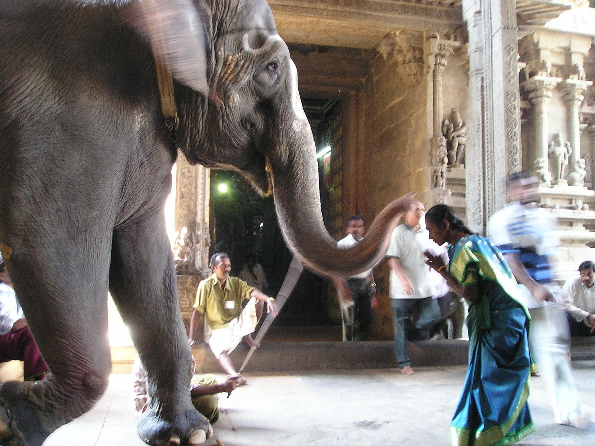Der ultimative Indien-Reiseführer für deutsche Reisende: Die 10 besten Routen & Tour-Pakete