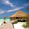 Polynesia - Image 2