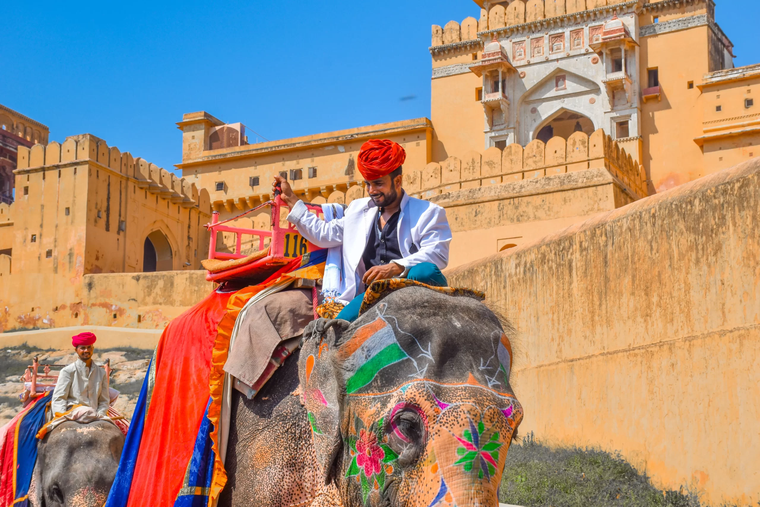Amer Fort, Jaipur, India